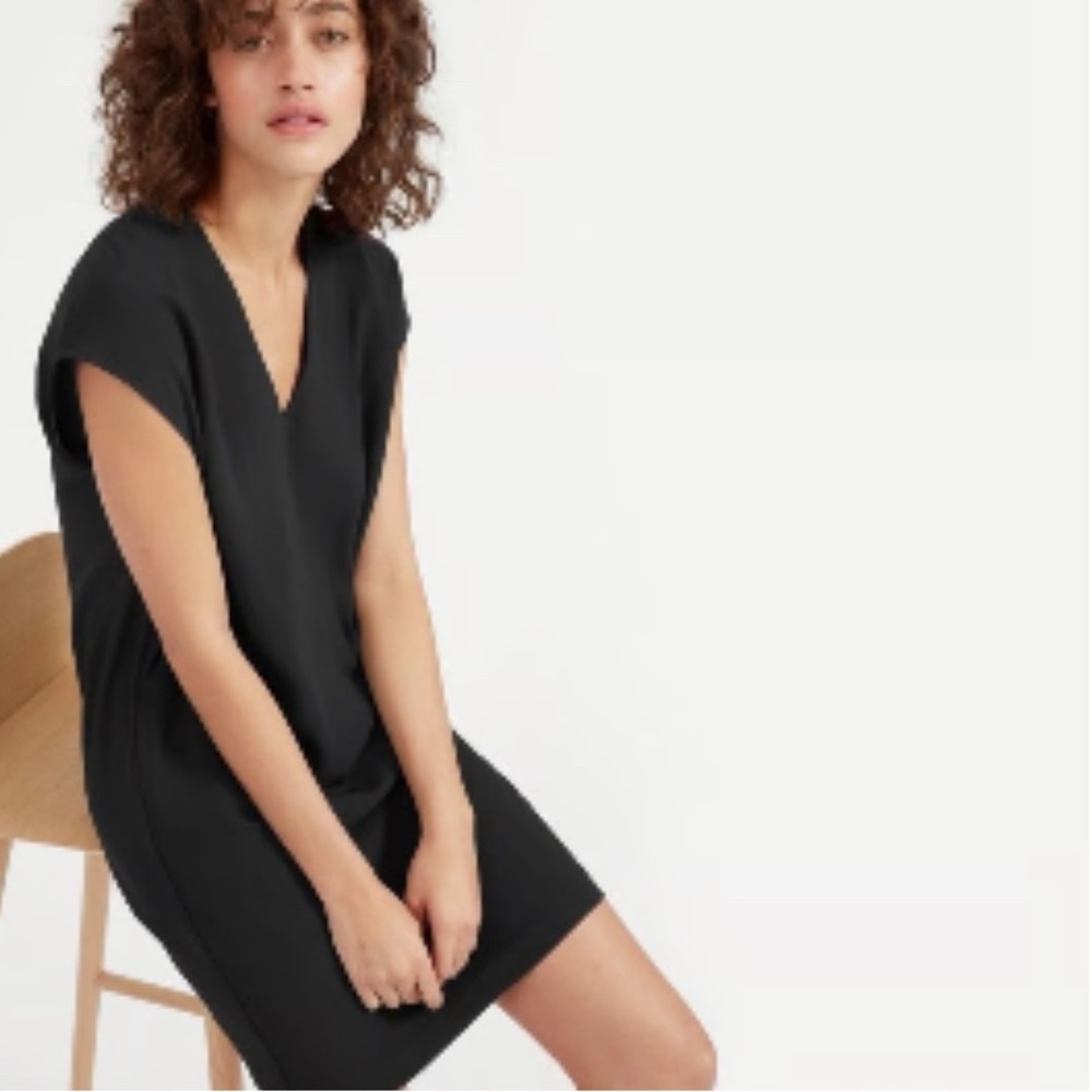 Everlane Black Japanese GoWeave Sleeveless Cocoon Sheath V-Neck Dress 0 XS